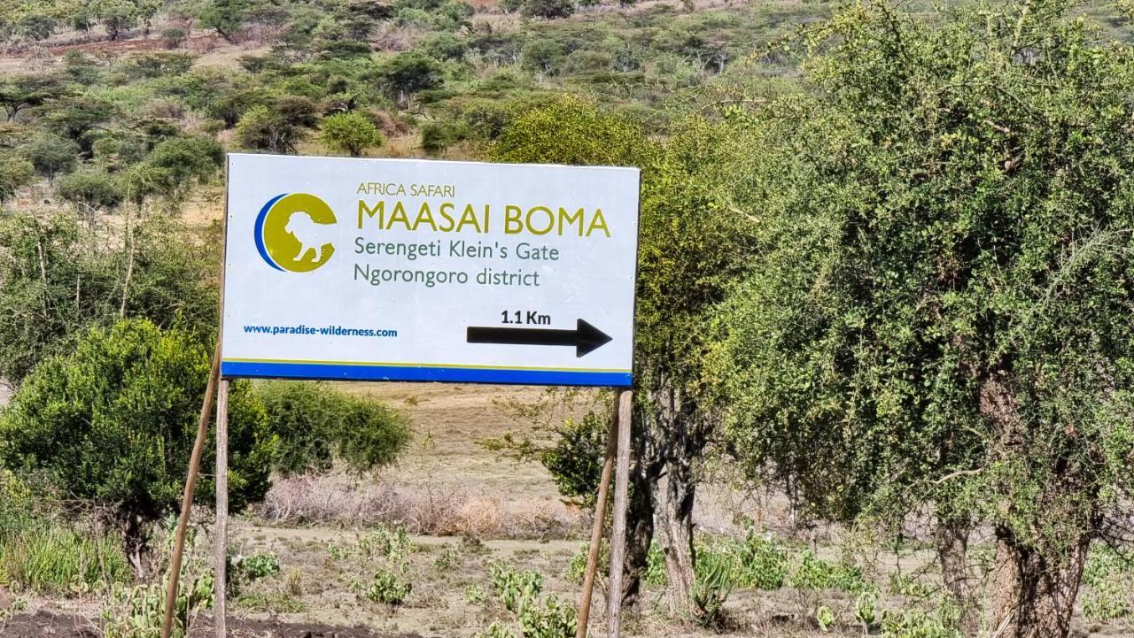 Africa Safari Maasai Boma Camping 세렝게티 외부 사진